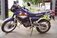 Scoli Auto Scoala Auto Antal